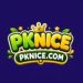 PKNice Game
